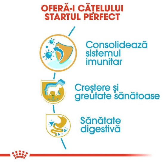 Royal Canin Labrador Retriever Puppy – Hrană Uscată pentru Pui de Câine din Rasa Labrador Retriever – 12 kg